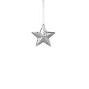 Deko-Anhänger Stern 10cm