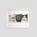 tray cats beech wood melamine