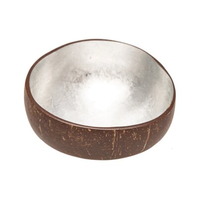 Kokosnuss Schale silber