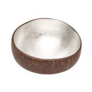 Coconut bowl silver