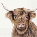 Lunch napkins Highland Cattle